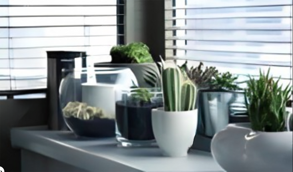 3 Ways to keep your Mobile Home Clutter Free