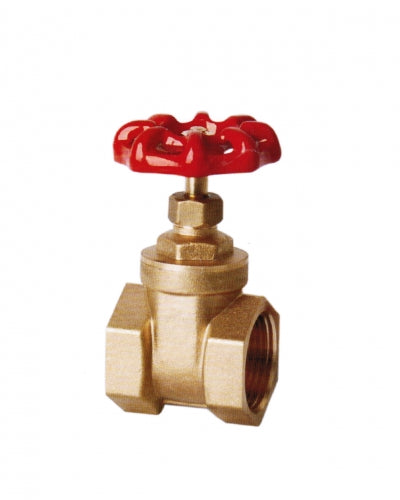 1/2 Inch Gate Valve